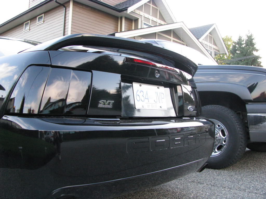 1999-2004 Ford Mustang Smoked Tail Lights